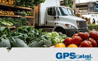 Robo al transporte: Prevención de robo al transporte de carga con GPScontrol